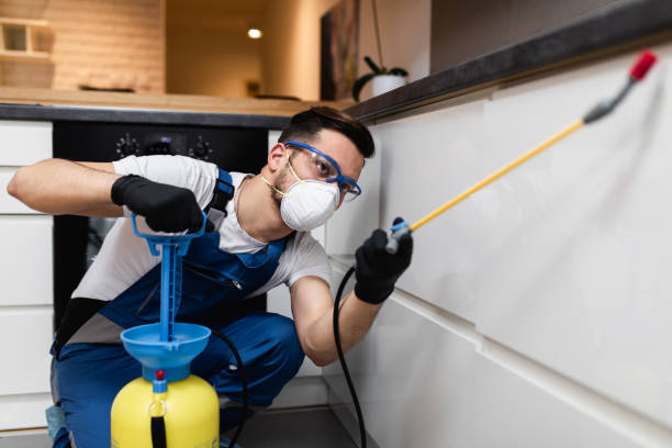 Best Emergency Pest Control  in Boiling Spring Lakes, NC