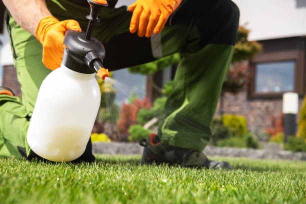 Best Termite Control Services  in Boiling Spring Lakes, NC