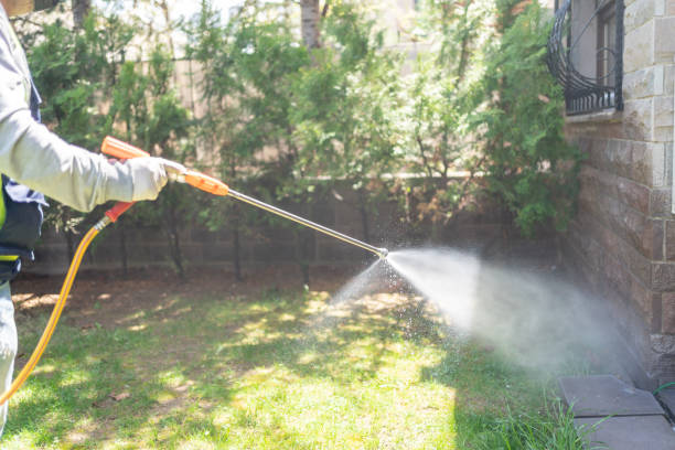 Best Local Pest Control Services  in Boiling Spring Lakes, NC
