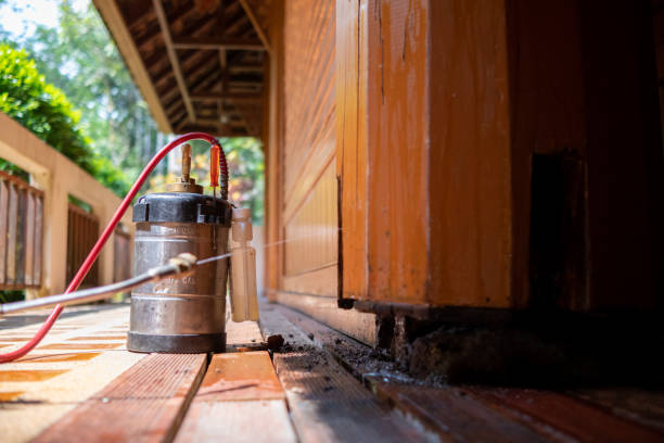 Best Spider Control Near Me  in Boiling Spring Lakes, NC