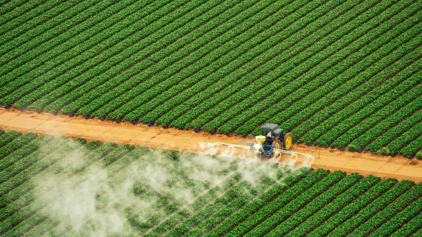 Best Mosquito Control Services  in Boiling Spring Lakes, NC