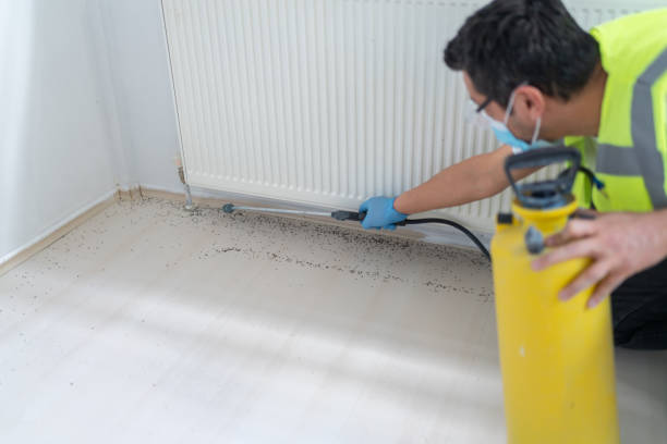 Best Bed Bug Extermination  in Boiling Spring Lakes, NC